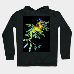 Leafy Seadragon Fish Hoodie